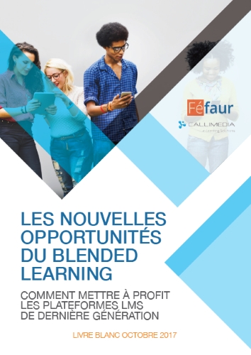 BLENDED LEARNING BLENDED LEARNING