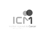 ICM1